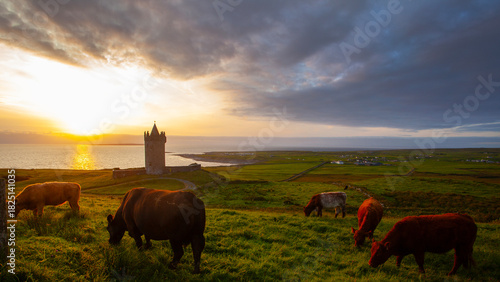 Beautiful scenery sunset landscape with an old Irish Doonegore Castle, grazing cows  and coastal beach views of doolin and the aran islands.