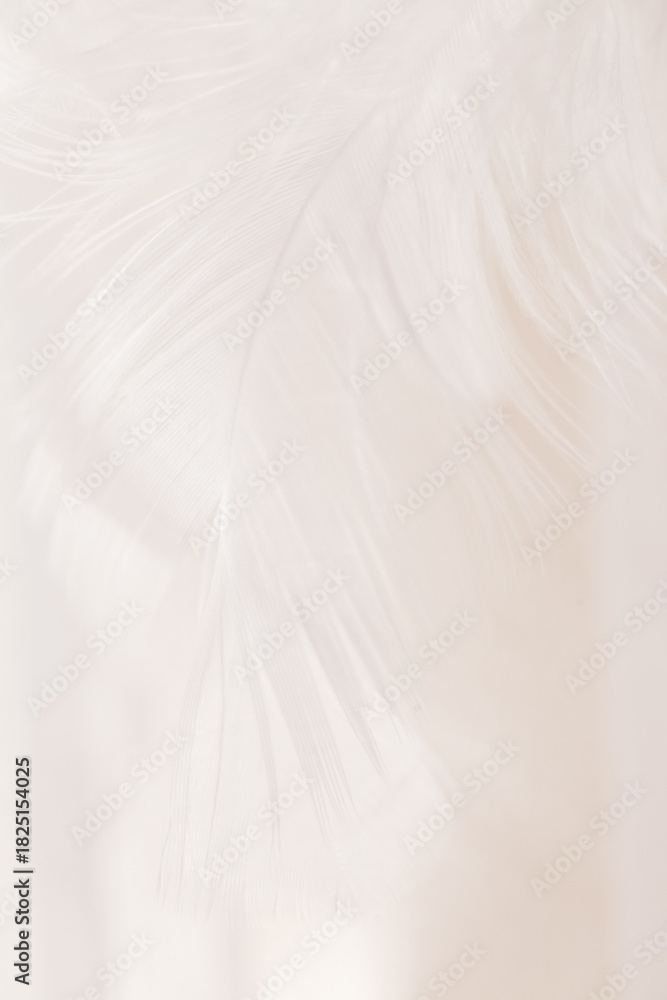 Obraz premium layered white feathers creating soft backdrop, White Feather Pattern Background.