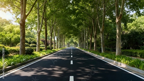 Long, straight avenue lined with tall, green trees and neatly trimmed hedges under a clear blue sky on a sunny day.