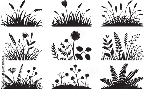 Different grasses and vegetation silhouette are arranged on a white transparent background for creative usage