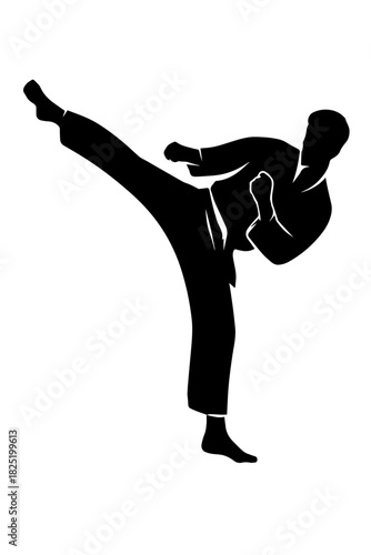 Taekwondo Roundhouse