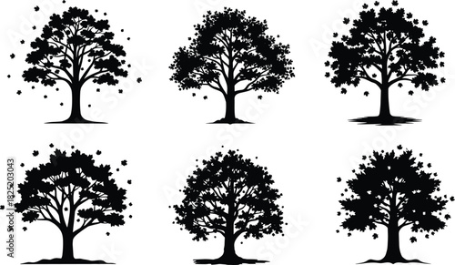 Silhouette set of deciduous trees with seasonal leaf variations, ideal for nature, botany, forest, and landscape vector design themes.