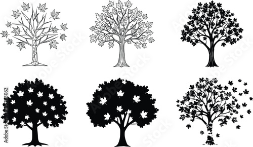 Stylized maple tree vector set with seasonal foliage silhouettes, abstract leaf patterns, autumn shedding, and decorative nature-inspired graphic elements.