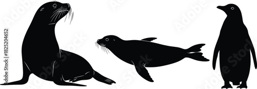 Black silhouette vector illustration of sea lion, seal, and penguin showing posture and anatomy differences of marine wildlife species