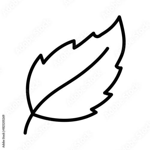 Illustration of a leaf with jagged edges and a prominent vein, outlined in black on a white background.