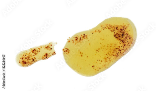 oil stain on transparent background