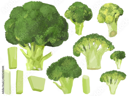 ブロッコリーのいろいろな切り方セット ベクターイラスト