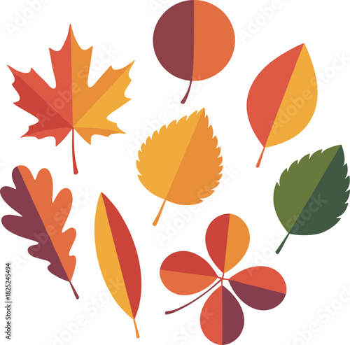 Colorful Flat Design Various Autumn Leaf Shape Collection Illustration