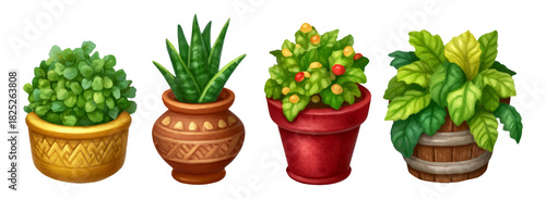 Set of Colorful Potted Plants on Transparent Background for Artistic Use