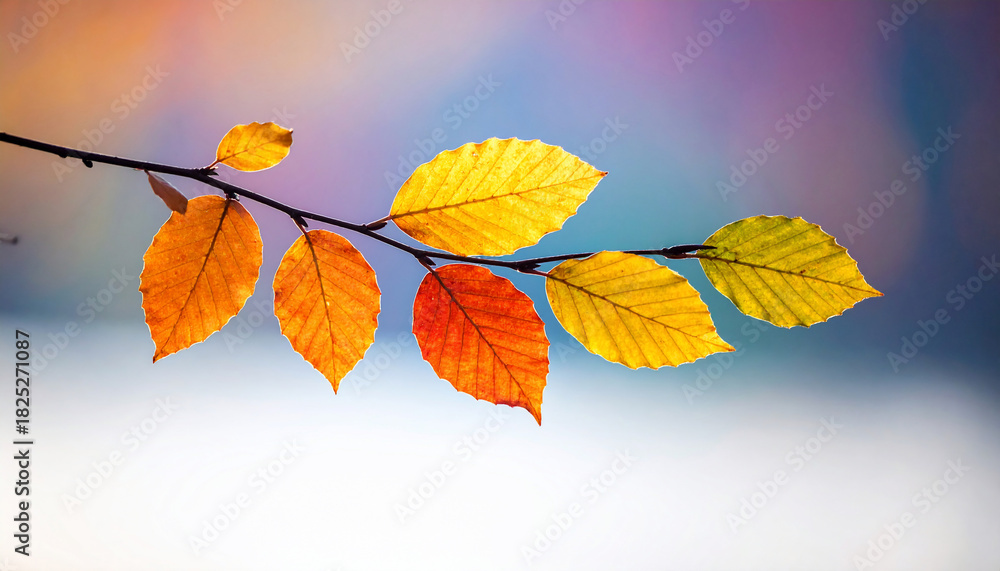 Fototapeta premium Autumn Leaves Branch