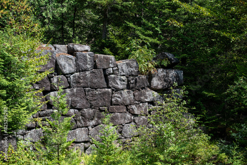 Ancient stone wall partially covered by greenery in a wooded area during a sunny day in the forest