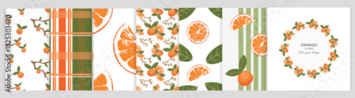 Vector set: 6 seamless patterns and elements with oranges and tangerines. Citrus wreath, large slice, striped and plaid backgrounds. Bright design for packaging and textiles.
