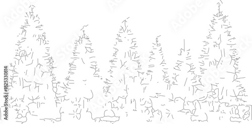 A minimalist line drawing of a dense forest of pine trees.