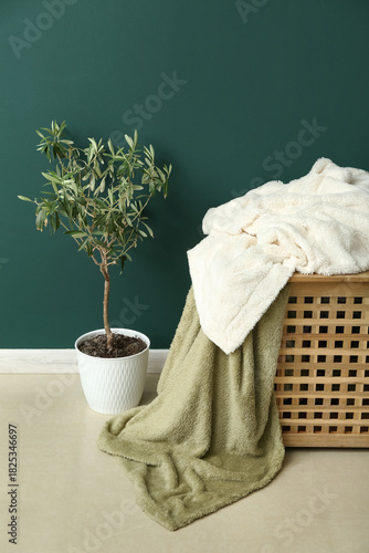 New soft blankets on basket and houseplant near green wall in room