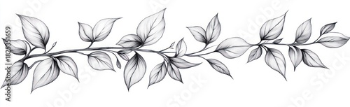 Detailed black and white pencil drawing of a long leafy branch with multiple overlapping leaves showing natural veins and shading