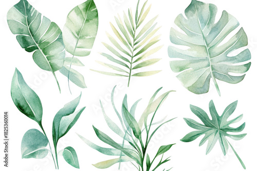 A collection of watercolor tropical leaves various shapes and shades of green. ideal for nature-themed designs. backgrounds. or botanical illustrations