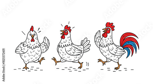 Humorous cartoon animation sequence of a chicken transforming into a colorful rooster, showing stages of surprise, running, and crowing.