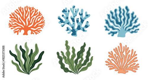 Collection of six colorful illustrations of various types of coral and seaweed, perfect for underwater and marine-themed design projects.