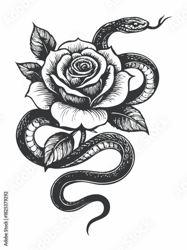 Vintage cobra and rose tattoo illustration