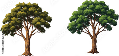 Realistic tree illustration, natural forest design, detailed foliage artwork, eco landscape, green environment, botanical drawing, summer greenery, cad drawing flat vector illustration