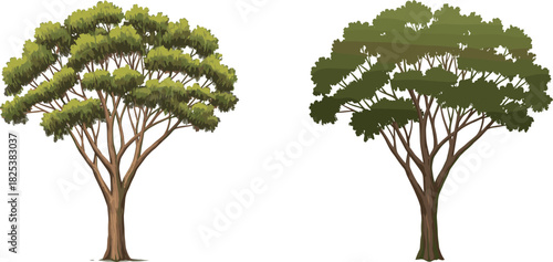 Green leafy tree design, natural forest tree artwork, botanical garden plant element, landscape foliage drawing, cad drawing flat vector illustration