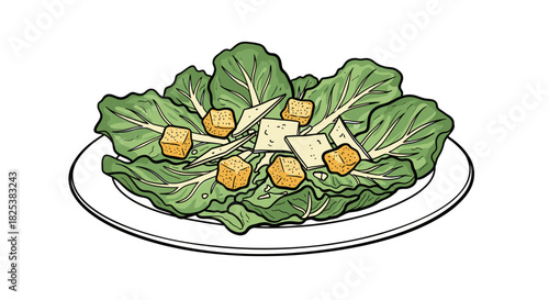 An appealing vector illustration depicts a delicious Caesar salad, artfully arranged with fresh romaine lettuce, crispy croutons, and flavorful parmesan, ideal for a light meal.