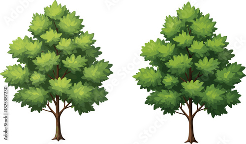 Two green trees illustration, natural foliage design, isolated plant artwork, forest landscape element, eco friendly nature graphic, cad drawing flat vector illustration