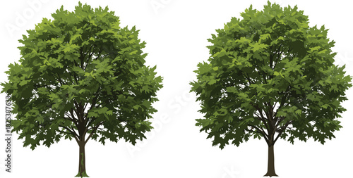 Lush green tree foliage illustration, detailed nature plant drawing, forest landscape element, eco friendly design, cad drawing flat vector illustration