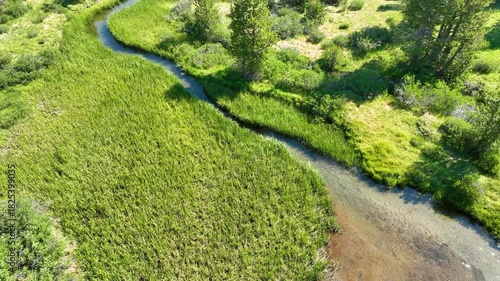 Aerial River and Lake Fly Through Forward Lush Green Forest Water Motion