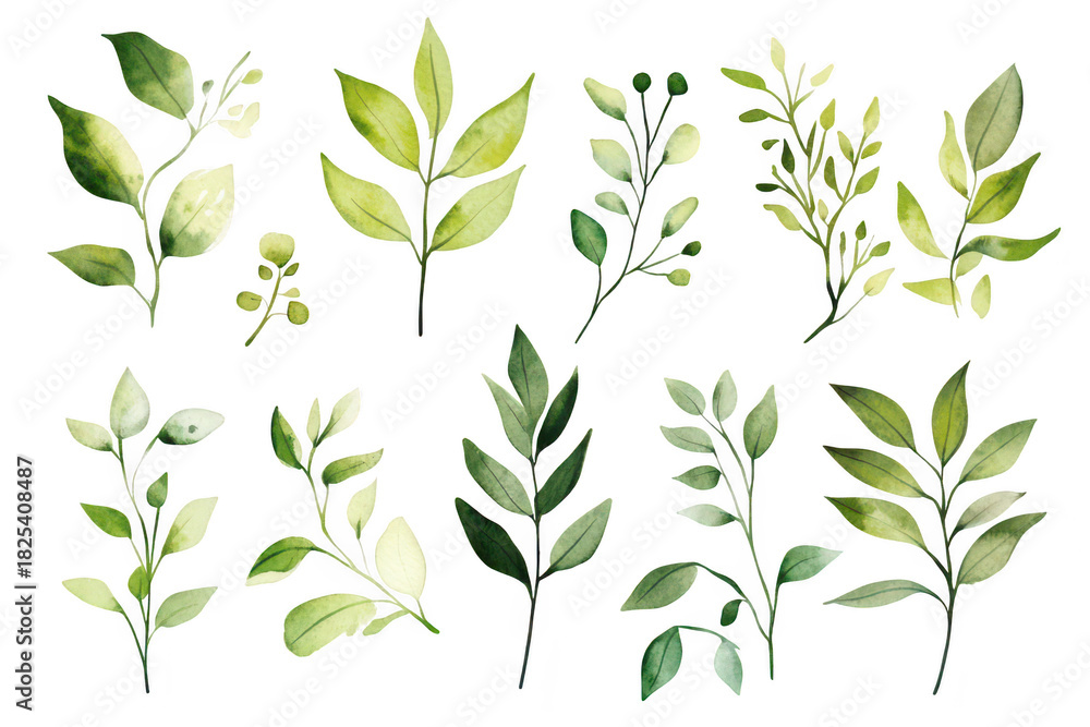 Fototapeta premium A collection of hand-painted green leaves various shapes and sizes. perfect for nature-themed designs. invitations. or backgrounds. set against a clean white backdrop