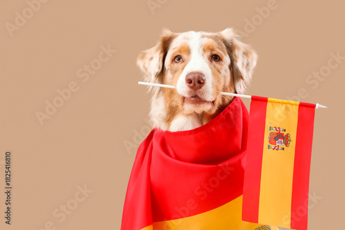Cute dog with flags of Spai...