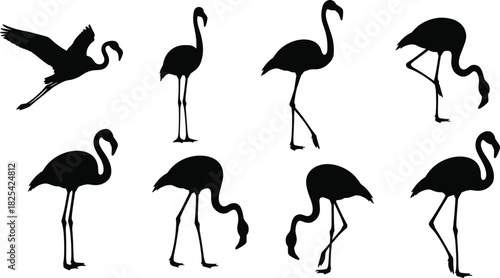 Elegant flamingo silhouette collection featuring diverse standing, walking, and flying poses, graceful bird shapes, decorative vector artwork ideal for nature designs, wildlife illustrations, 