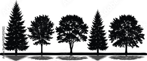 Black silhouette of forest trees set, pine and deciduous collection, vector illustration isolated on white, nature landscape wood design, shadow, botany