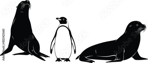Black silhouette of sea lion and penguin set, marine mammal vector illustration isolated on white, arctic animal zoo collection, nature design, wildlife