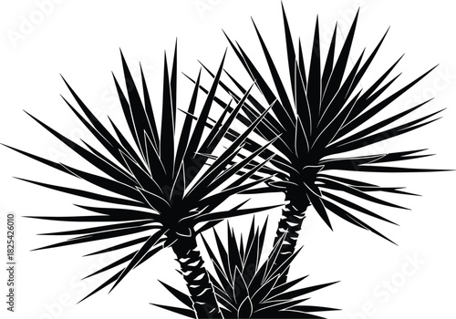 Black silhouette vector illustration of a tropical Yucca plant cluster with spiky, sword-like leaves, representing desert, garden, exotic, and drought-tolerant nature on white.