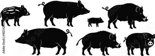 Collection of black pig and wild boar silhouettes, vector illustration of domestic and wild animals, isolated on white background, farm nature concept