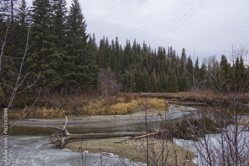 A Cloudy Autumn Day at Whitemud Park