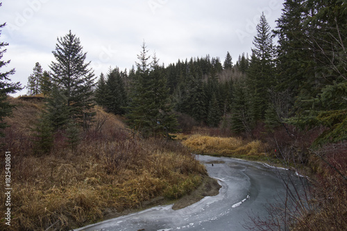 A Cloudy Autumn Day at Whitemud Park
