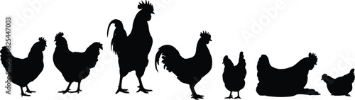 Silhouettes of chickens and roosters standing together in various poses, showcasing farm life, poultry, and rural lifestyle in nature
