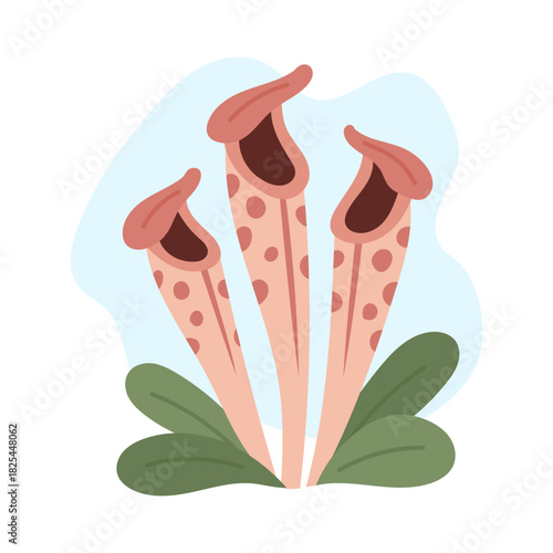 Pitcher plant forming tall spotted tubes, pitcher plant adding vibrant carnivorous energy for modern decor, playful shapes highlighting trendy botanical style perfect for nature-focused projects.