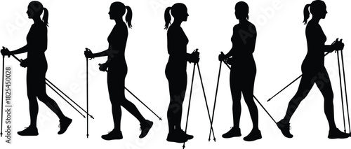 Silhouette of women Nordic walking — group exercise with poles, fitness outdoor activity, healthy lifestyle, female walkers in motion