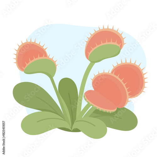 Venus flytrap displaying open vivid traps, venus flytrap forming playful carnivorous highlight in soft vector style, warm colors enhancing trendy botanical aesthetic ideal for modern creative projects