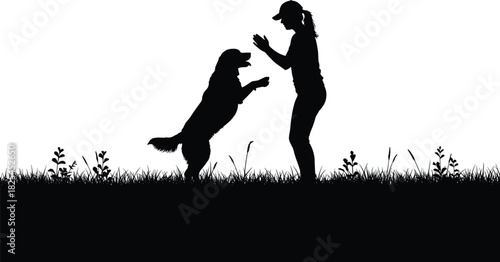 Silhouette of woman training dog outdoors, dog on hind legs, obedience practice, pet care, grass background, loyalty and bonding
