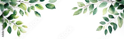Watercolor illustration of lush green leafy branches framing the top corners of the image on a white background with fresh and natural feel