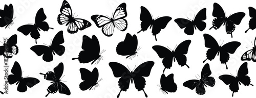 Large Group of Flying Butterflies Silhouette Vector Set; Collection of Insects Representing Spring, Nature, Transformation, Beauty, and Freedom, Black and White Graphic Design.