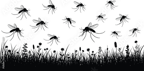 Mosquito swarm silhouette over grass field, flying insects in nature, malaria and dengue danger concept, black vector illustration isolated on white background.