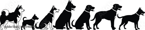 Set of Various Dog Breeds Silhouette Vector Collection; Different Size and Type of Canine Animals with Collars, Representing Pets, Pedigree, Companionship, and Diversity Graphic.