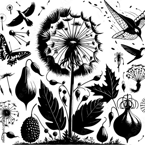 Seed dispersal showing plant reproduction mechanisms including wind animal and explosive dispersal for botanical ecology and biodiversity
