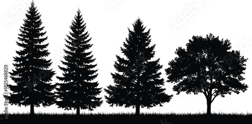 Silhouette set of coniferous pine trees and deciduous broadleaf tree on grass, nature forest landscape vector illustration isolated on white background.