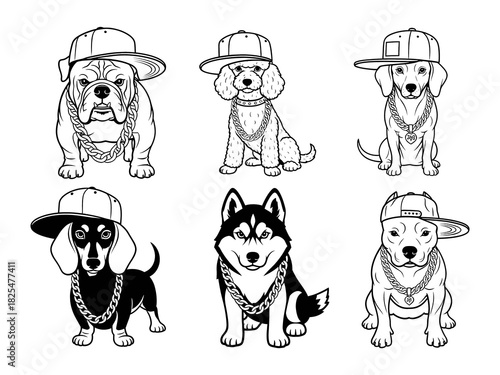 Hip Hop Dog in Cap and Chain